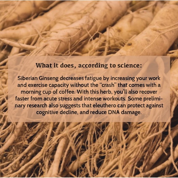 450g of ground siberian ginseng - Picture 4 of 7